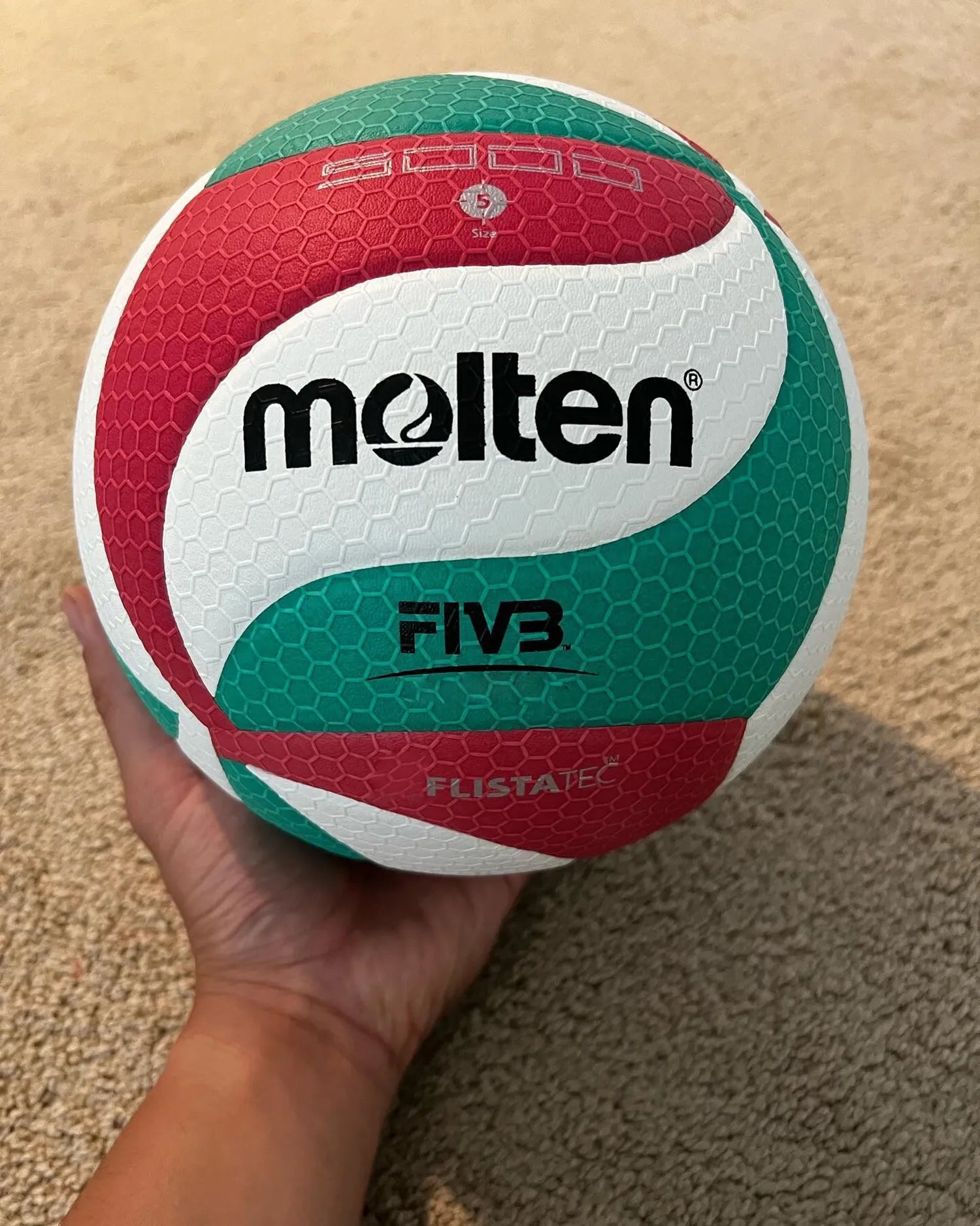 Bola de Vôlei | Molten FIV3